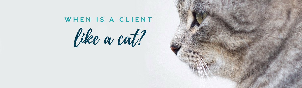 When is a client like a cat?