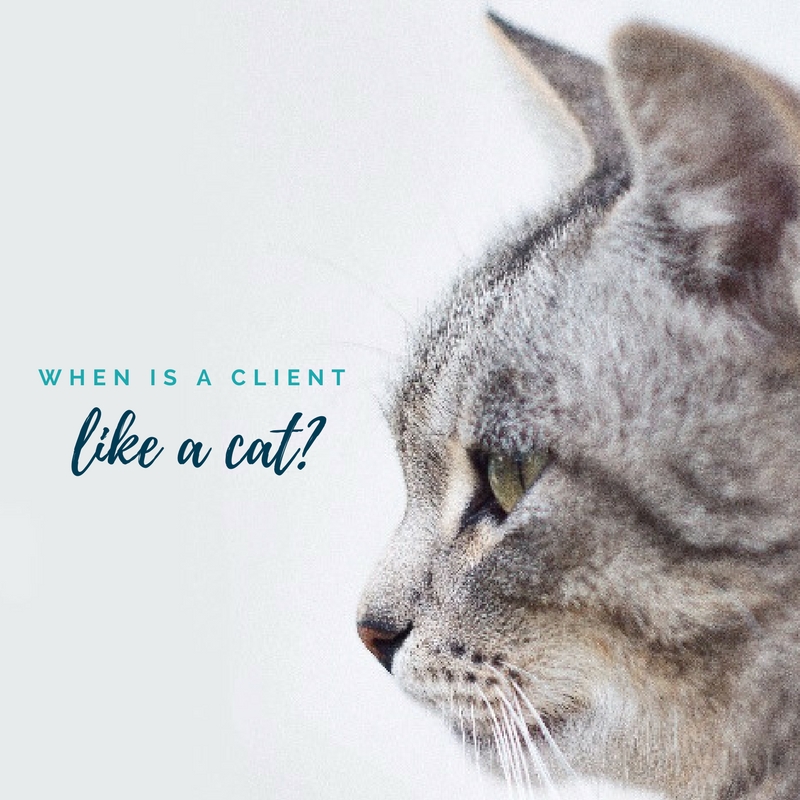 When is a client like a cat?